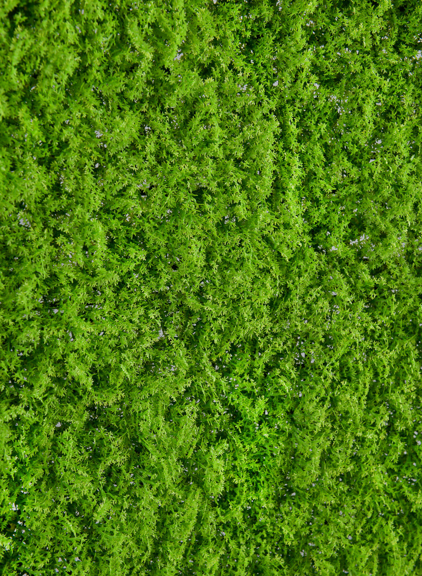 20in Square Realistic Evergreen Moss Mat (Indoor/Outdoor) Decor Jamaligarden