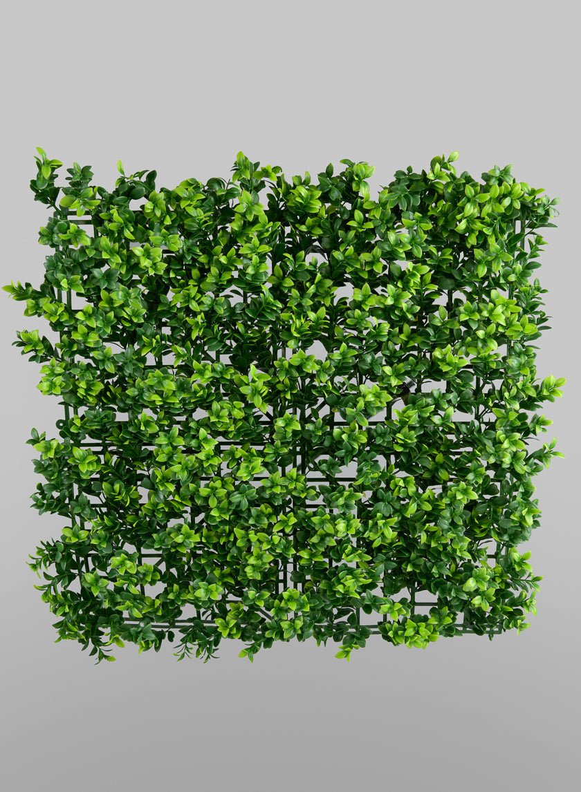 20in Square Mature Boxwood Mat (Indoor/Outdoor) Decor Jamaligarden