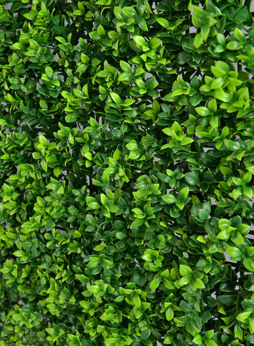 20in Square Mature Boxwood Mat (Indoor/Outdoor) Decor Jamaligarden