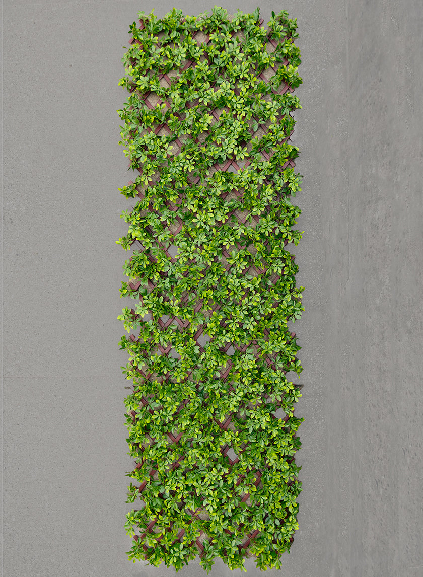 40in x 80in Boxwood Accordion Expanding Trellis (Indoor/Outdoor) Decor Jamaligarden