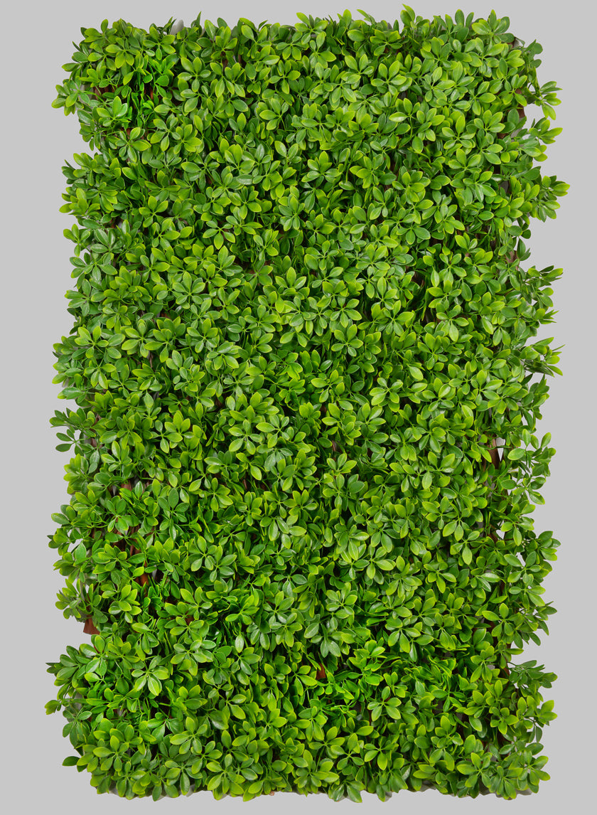 40in x 80in Boxwood Accordion Expanding Trellis (Indoor/Outdoor) Decor Jamaligarden