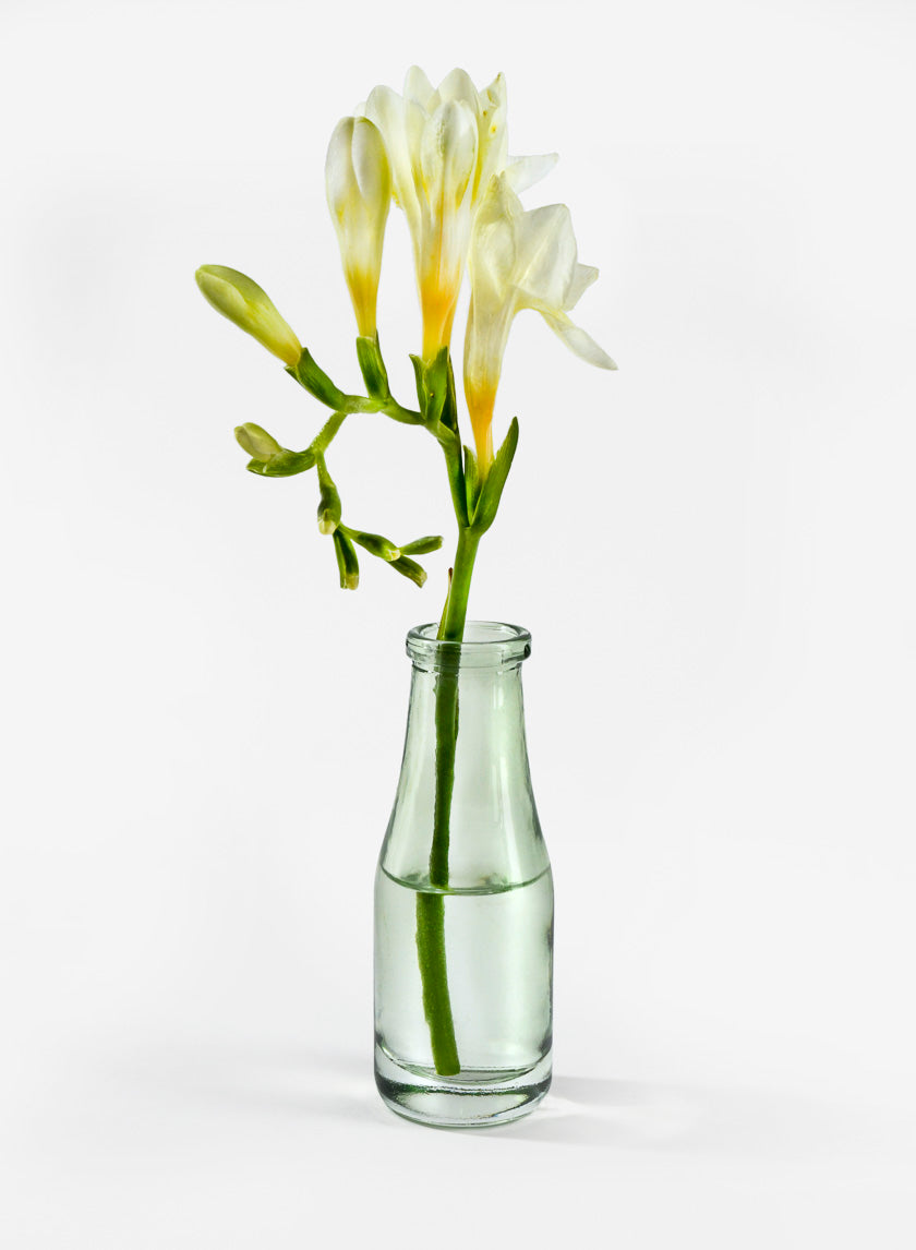 Mexican Green Glass Bud Glass Vases Decor Jamaligarden