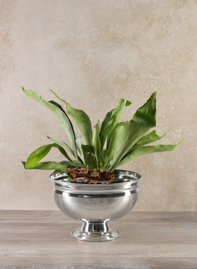 Silver Pedestal Bowls Decor Jamaligarden