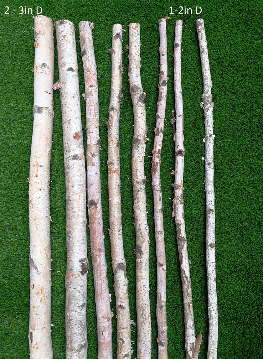 Natural Birch Poles Decor Jamaligarden
