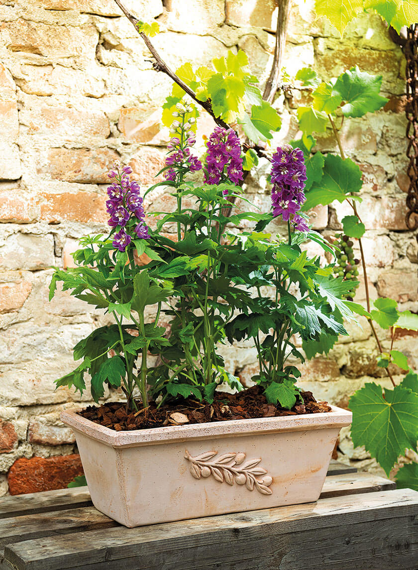 12in Long Cassetta Olive Flower Box Decor Jamaligarden