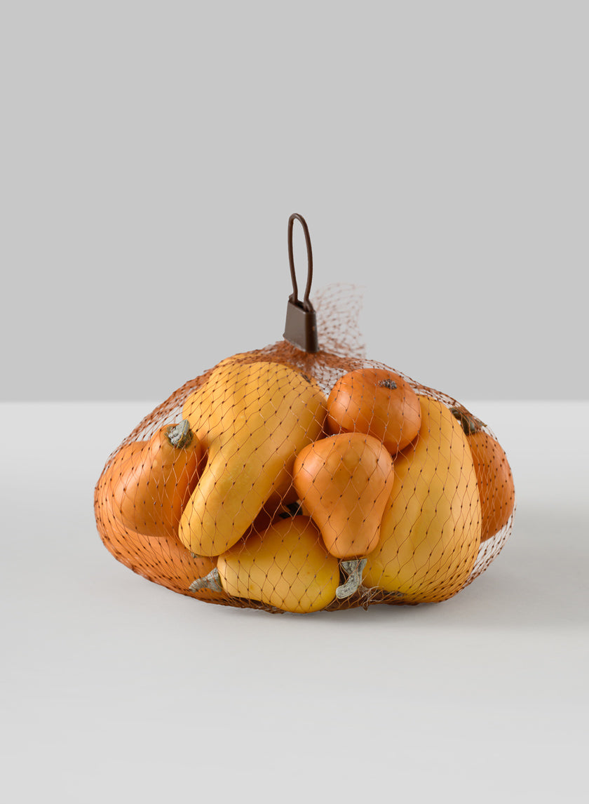 Illanois Fall Harvest Mini Gourds, Bag of 10 Decor Jamaligarden