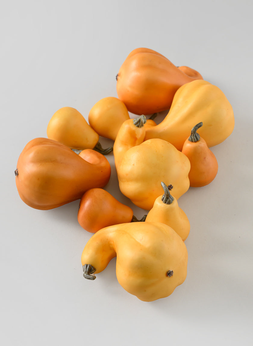 Illanois Fall Harvest Mini Gourds, Bag of 10 Decor Jamaligarden