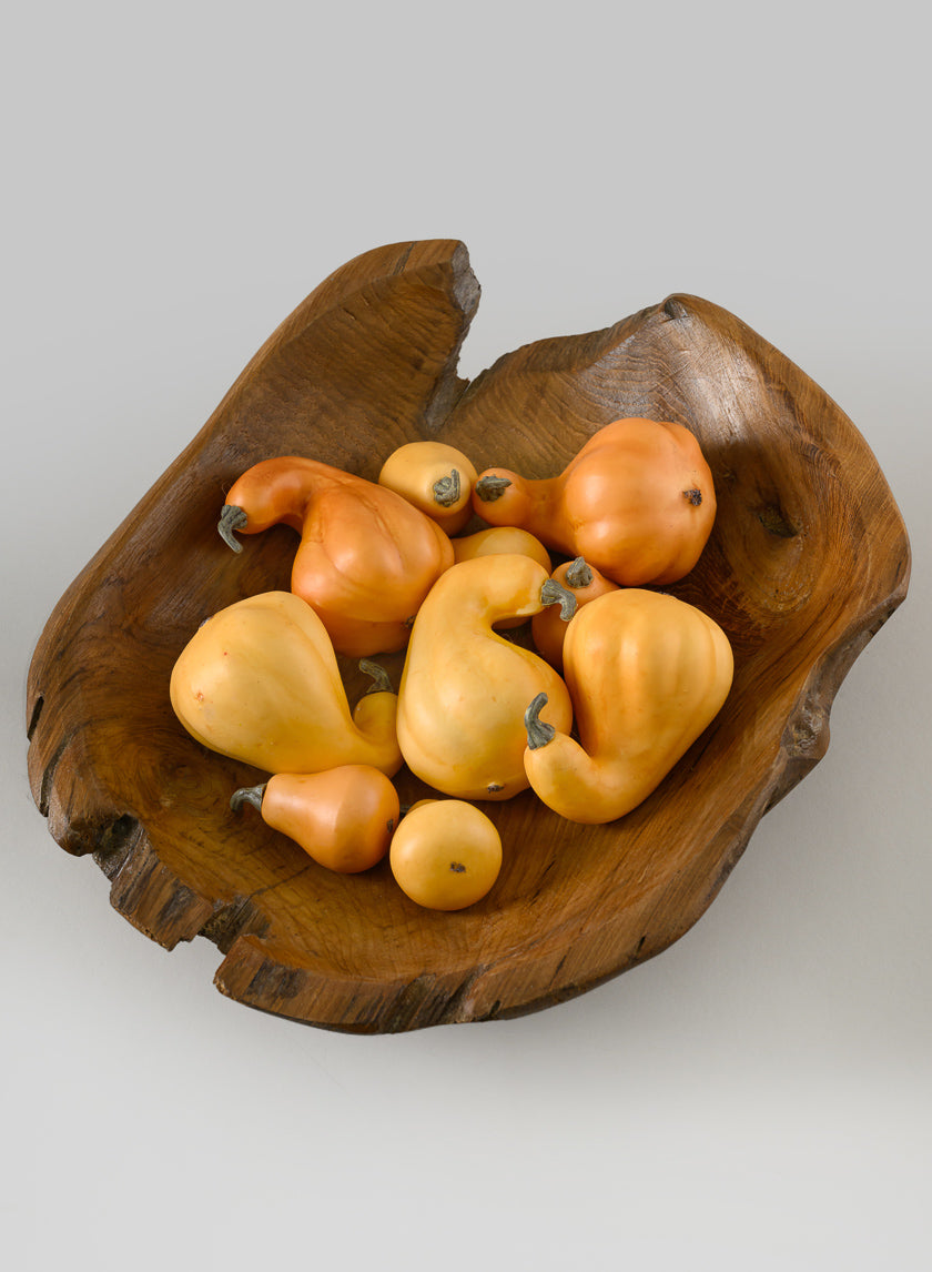 Illanois Fall Harvest Mini Gourds, Bag of 10 Decor Jamaligarden