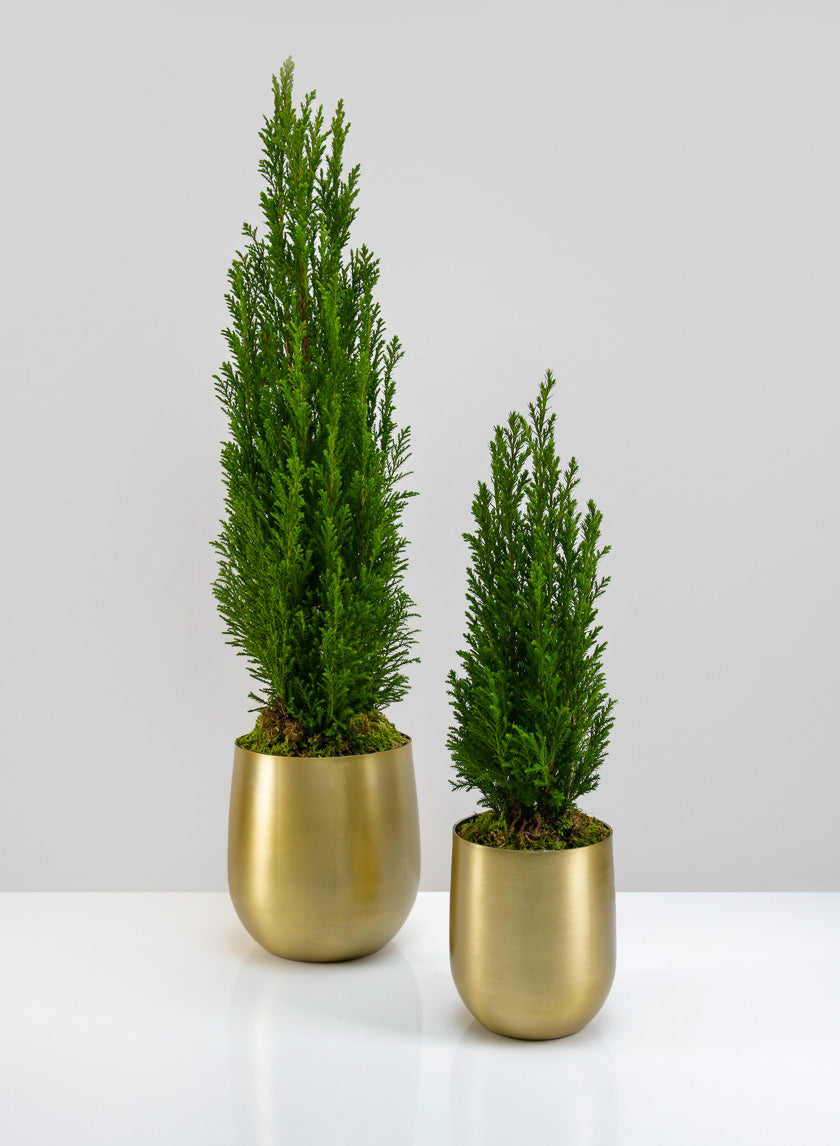 Ragha Brass Look Aluminum Pot Decor Jamaligarden