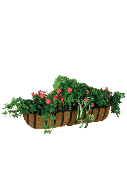Black Wall Planter With Coco Liner Decor Jamaligarden