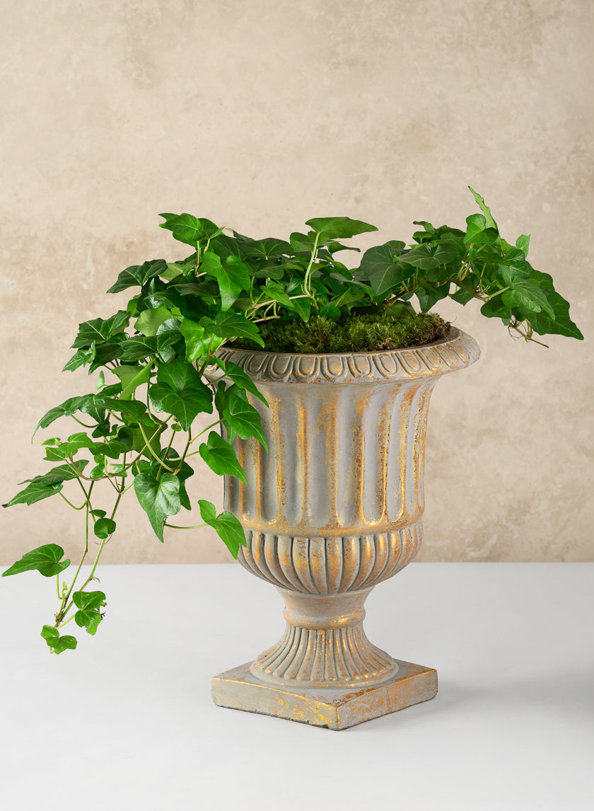 Avignon Antique Gold Leaf Cement Urn Decor Jamaligarden