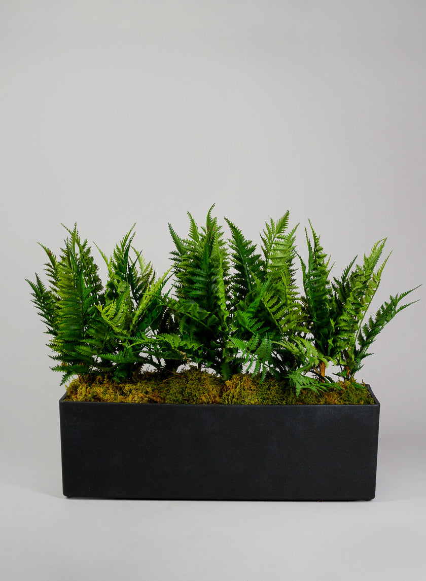 Campagna Black Classic Light Weight Window Box Decor Jamaligarden