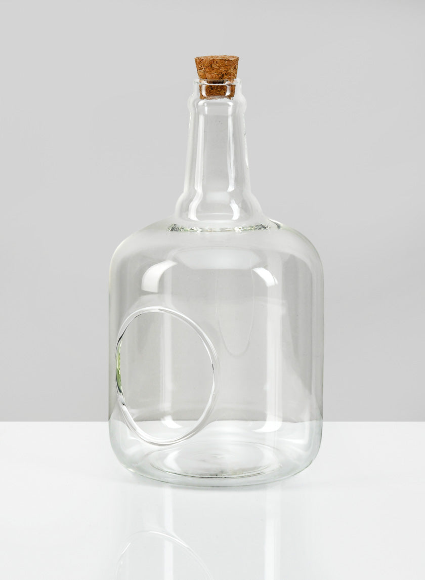 7.5in Tall Rio Bottle Glass Terrarium, Small Decor Jamaligarden