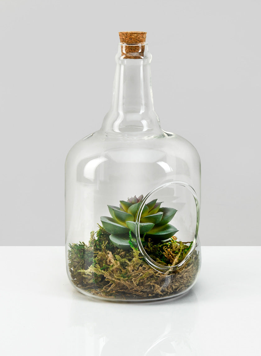 7.5in Tall Rio Bottle Glass Terrarium, Small Decor Jamaligarden