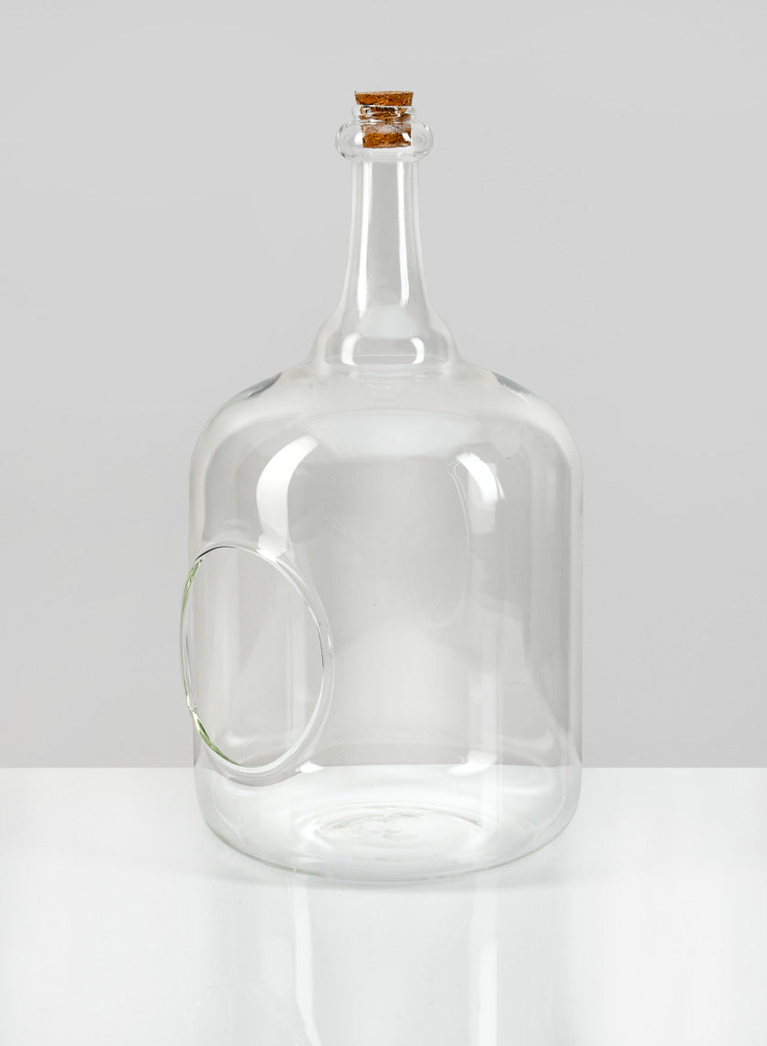 10.75in Tall Rio Bottle Glass Terrarium, Large Decor Jamaligarden