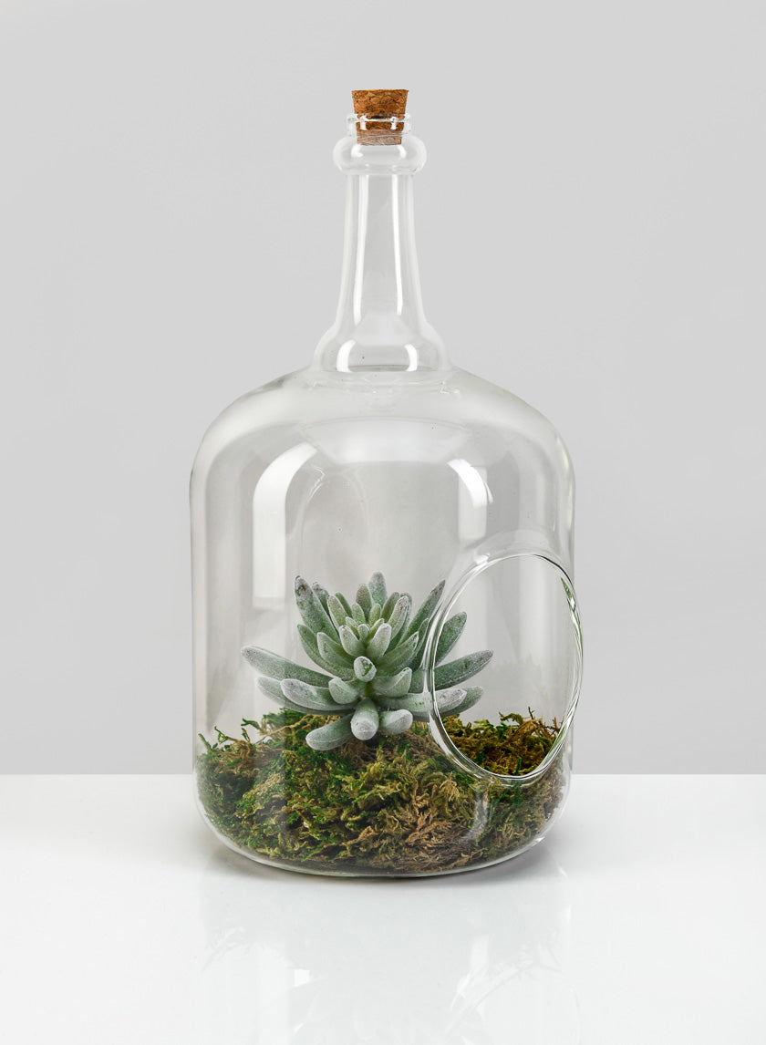 10.75in Tall Rio Bottle Glass Terrarium, Large Decor Jamaligarden