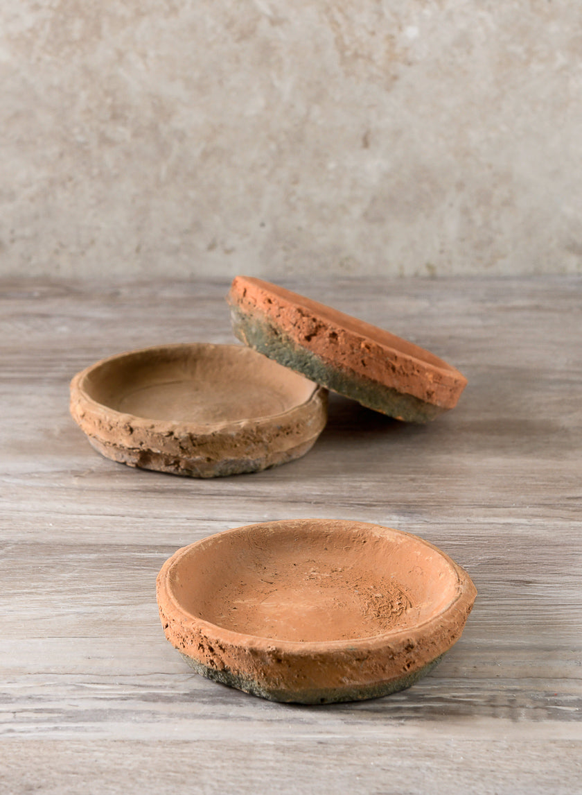 4in Wide Mossed Redstone Saucer Decor Jamaligarden