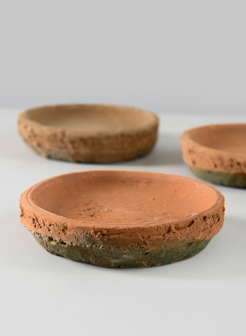 4in Wide Mossed Redstone Saucer Decor Jamaligarden