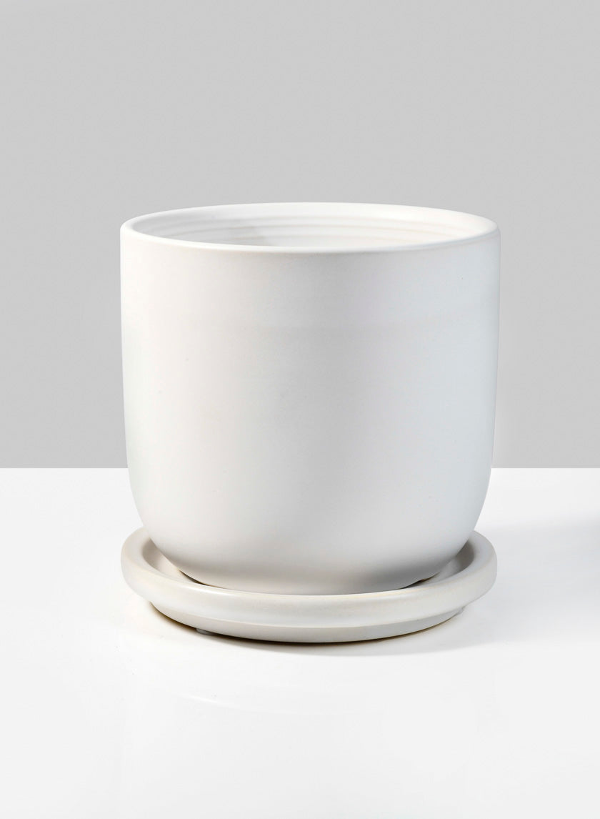4.5in Tall Marble Aeon Ceramic Pot &amp; Saucer Decor Jamaligarden