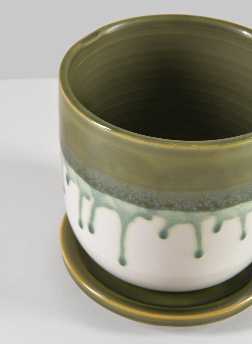Harami Running Green Pot with Saucer Decor Jamaligarden