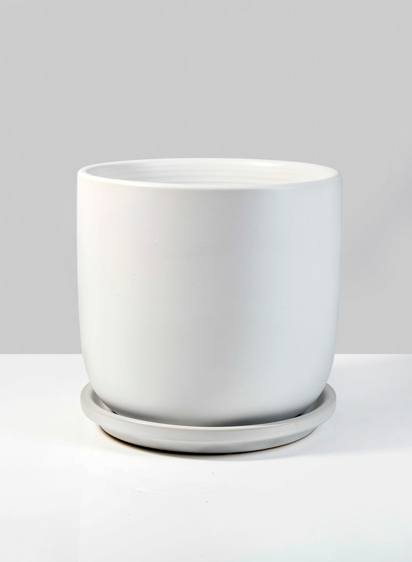 5.75in Tall Marble Aeon Ceramic Pot &amp; Saucer Decor Jamaligarden
