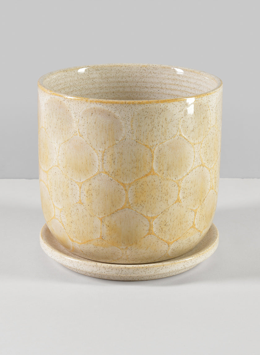 6in Tall Safaga Pot with Saucer Decor Jamaligarden