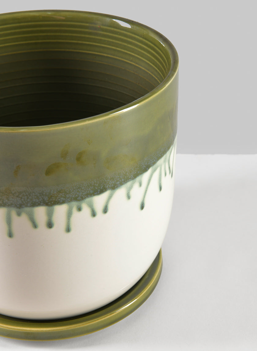 Harami Running Green Pot with Saucer Decor Jamaligarden
