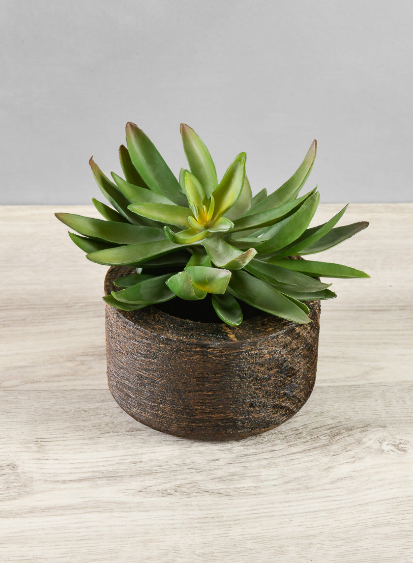 4.5in Wide Banjara Reclaimed Look Black Rugged Wood Bowl Decor Jamaligarden