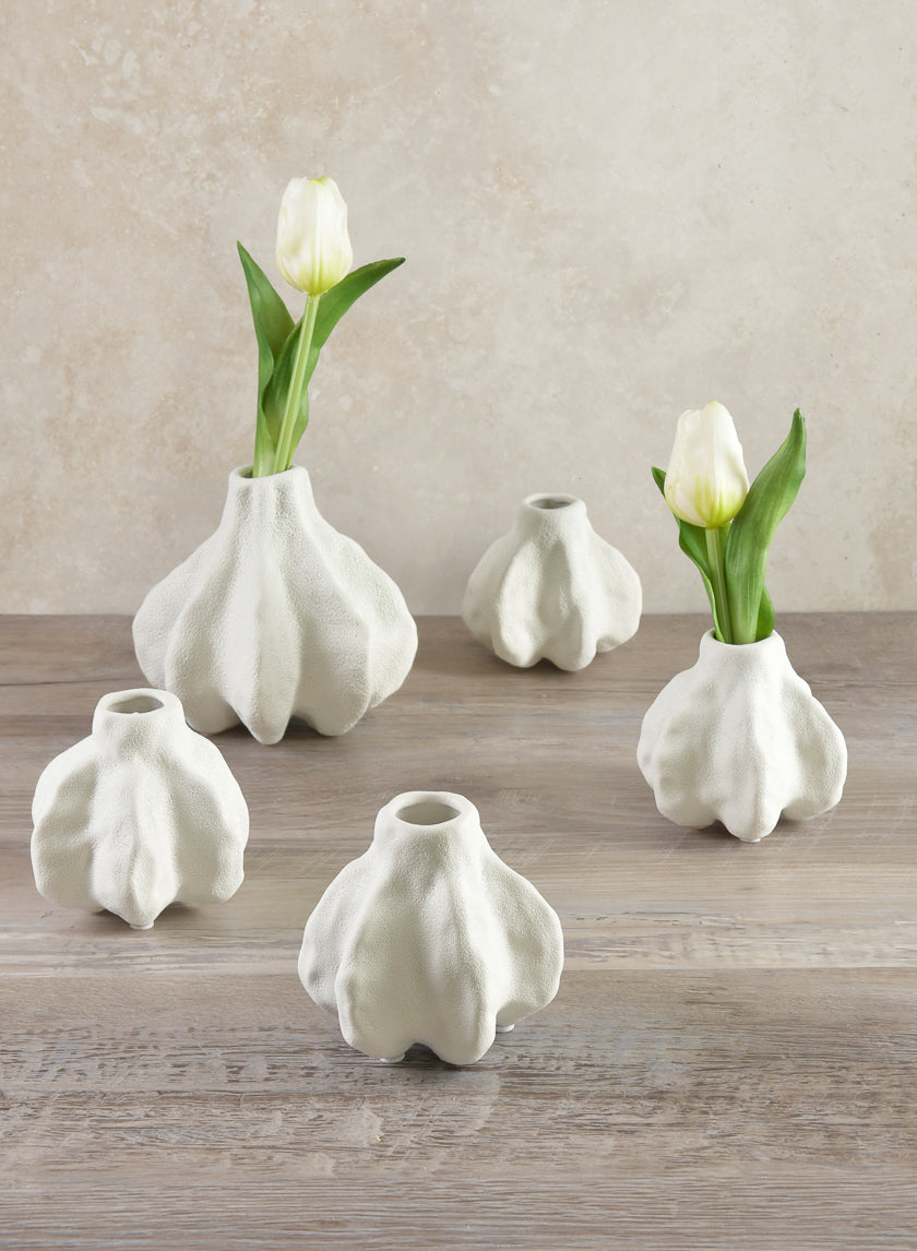5.75in Tall Sea Urchin Vase Decor Jamaligarden