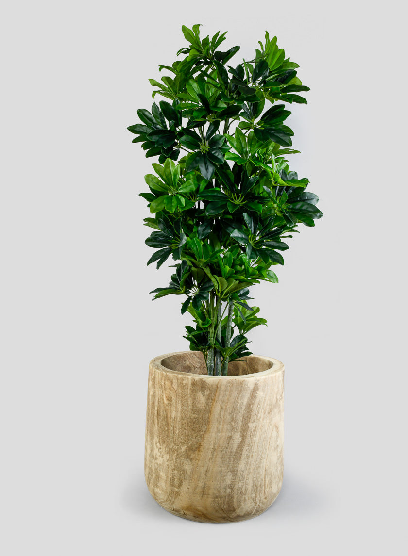 44in Tall Artificial Schefflera Tree Decor Jamaligarden