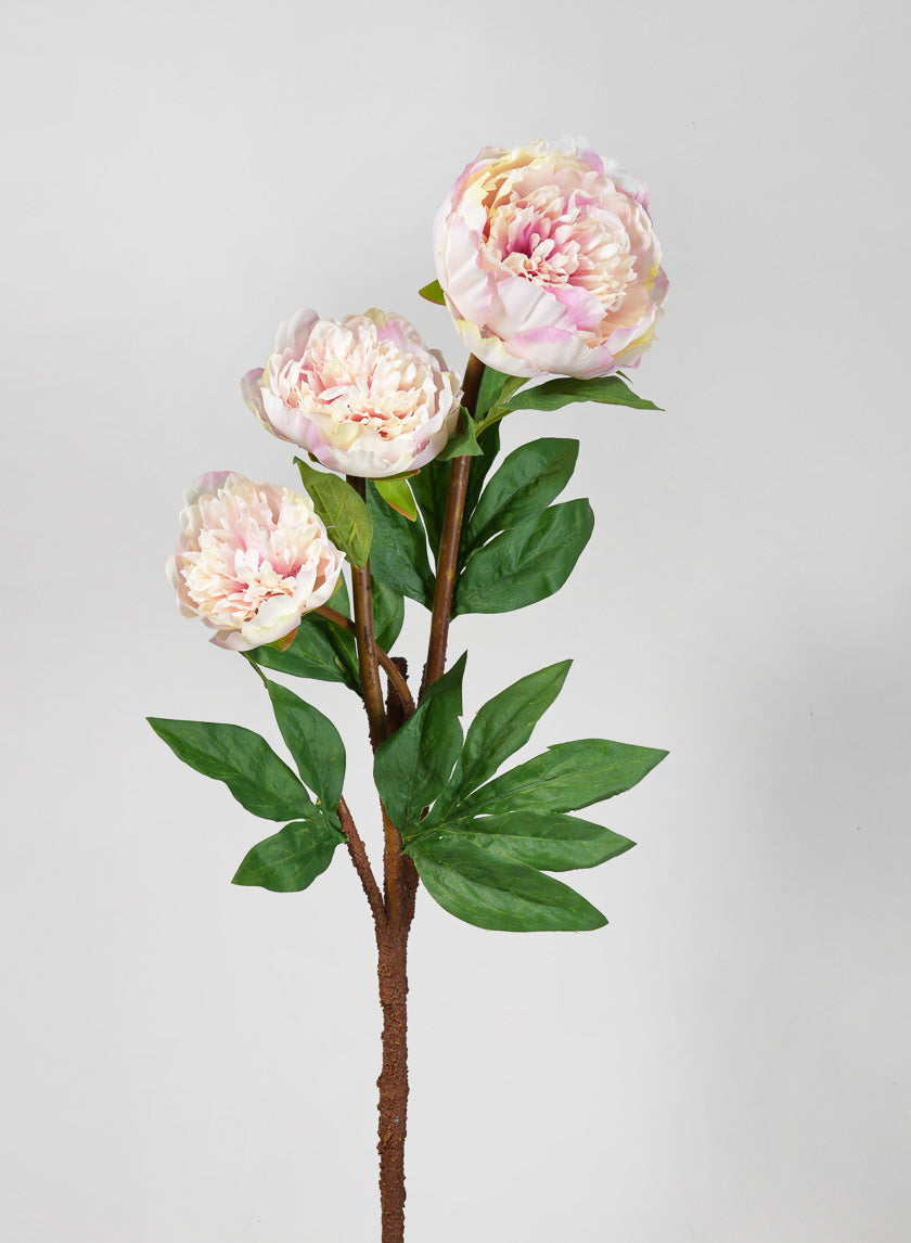 35in Long Light Pink Garden Peony Stem Decor Jamaligarden