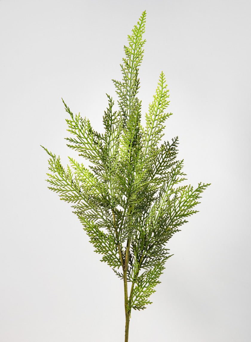 41in Long Thuja Pine Pick Decor Jamaligarden