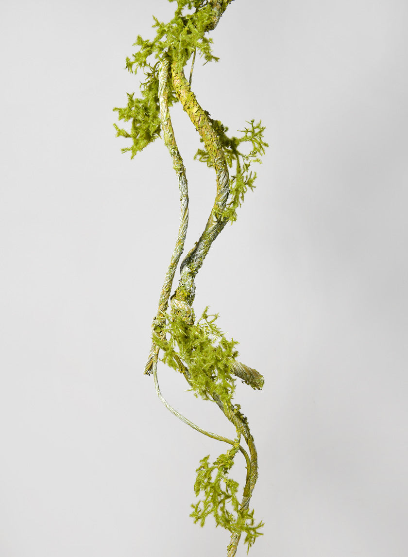 35in Long Mossy Vine Branch Decor Jamaligarden
