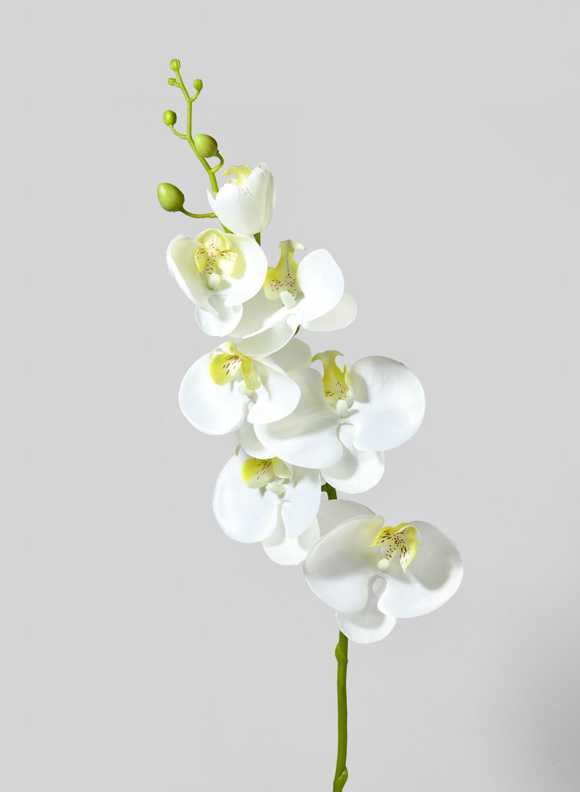 35in Long White & Yellow Phalaenopsis Decor Jamaligarden