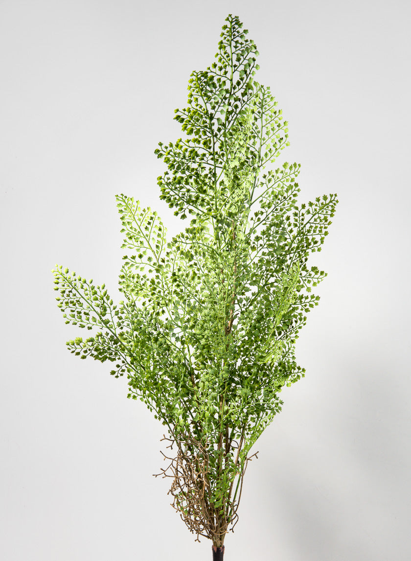 35in Long Rooted Fern Stem Decor Jamaligarden