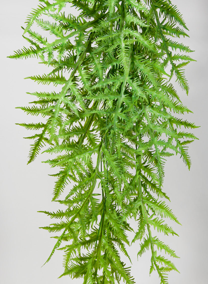 50in Long Tropical Fern Hanging Decor Jamaligarden