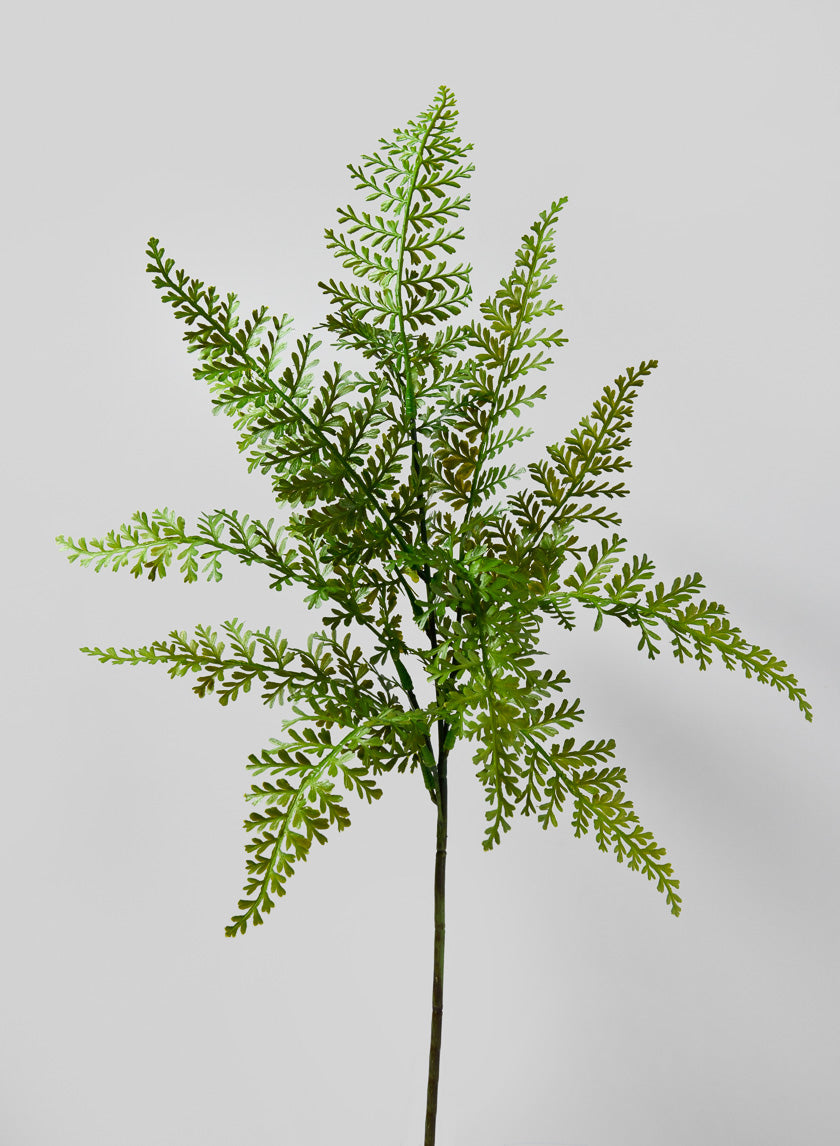 27in Long Fern Pick Decor Jamaligarden