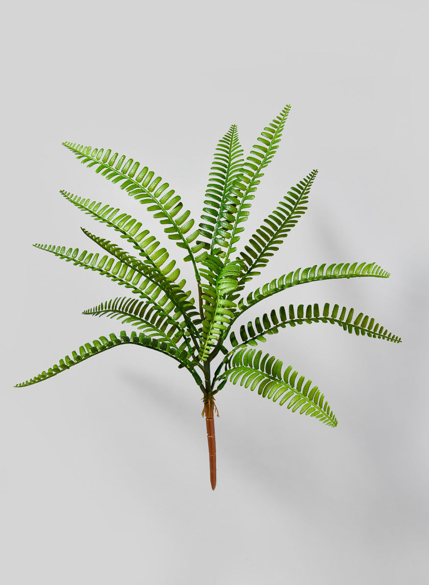 17in Long Boston Fern Pick Decor Jamaligarden