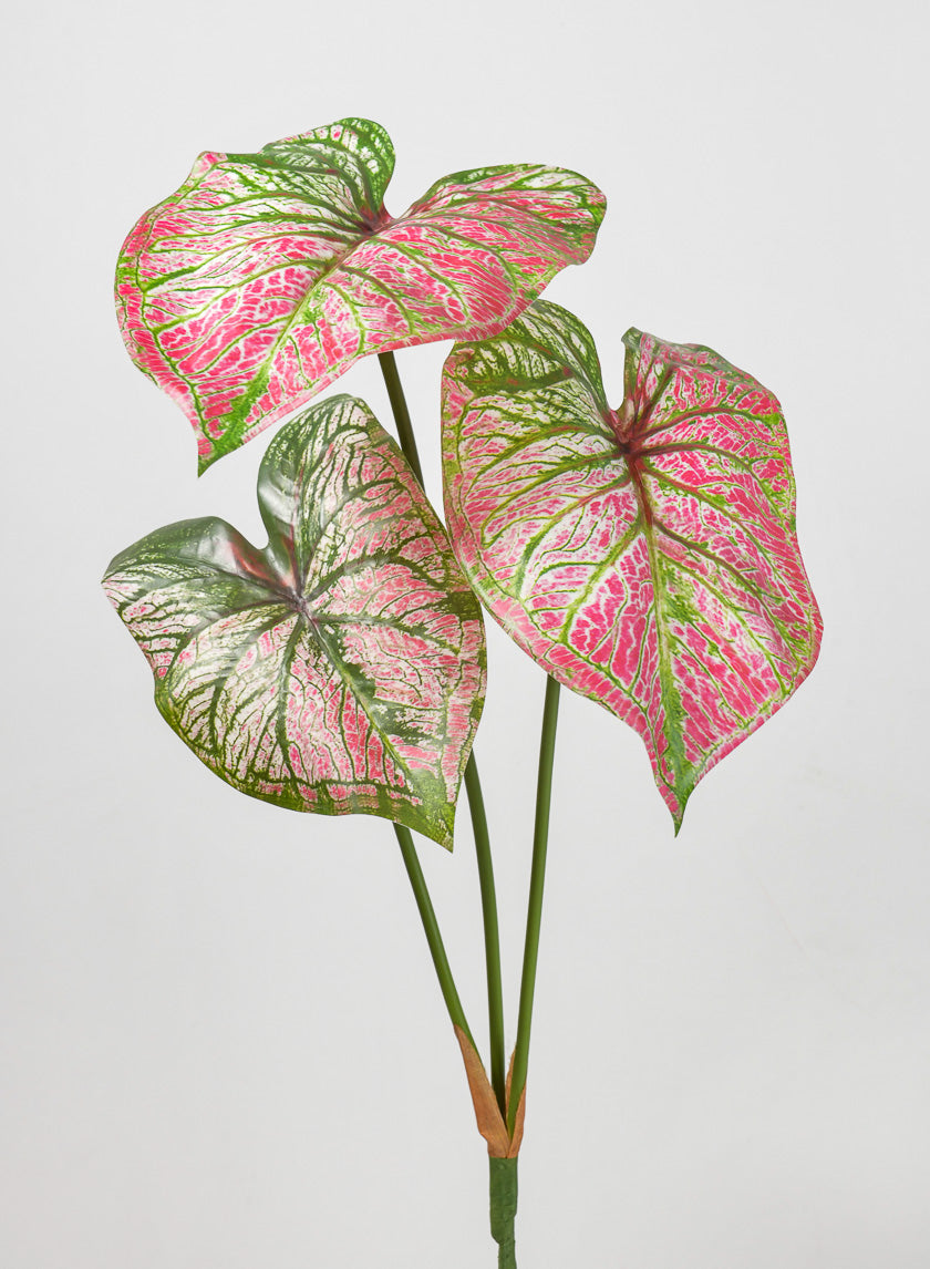 22in Long 3 Leaf Red Caladium Stem Decor Jamaligarden