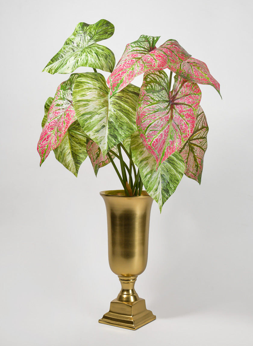 24in Long 5 Leaf Variegated Caladium Stem Decor Jamaligarden