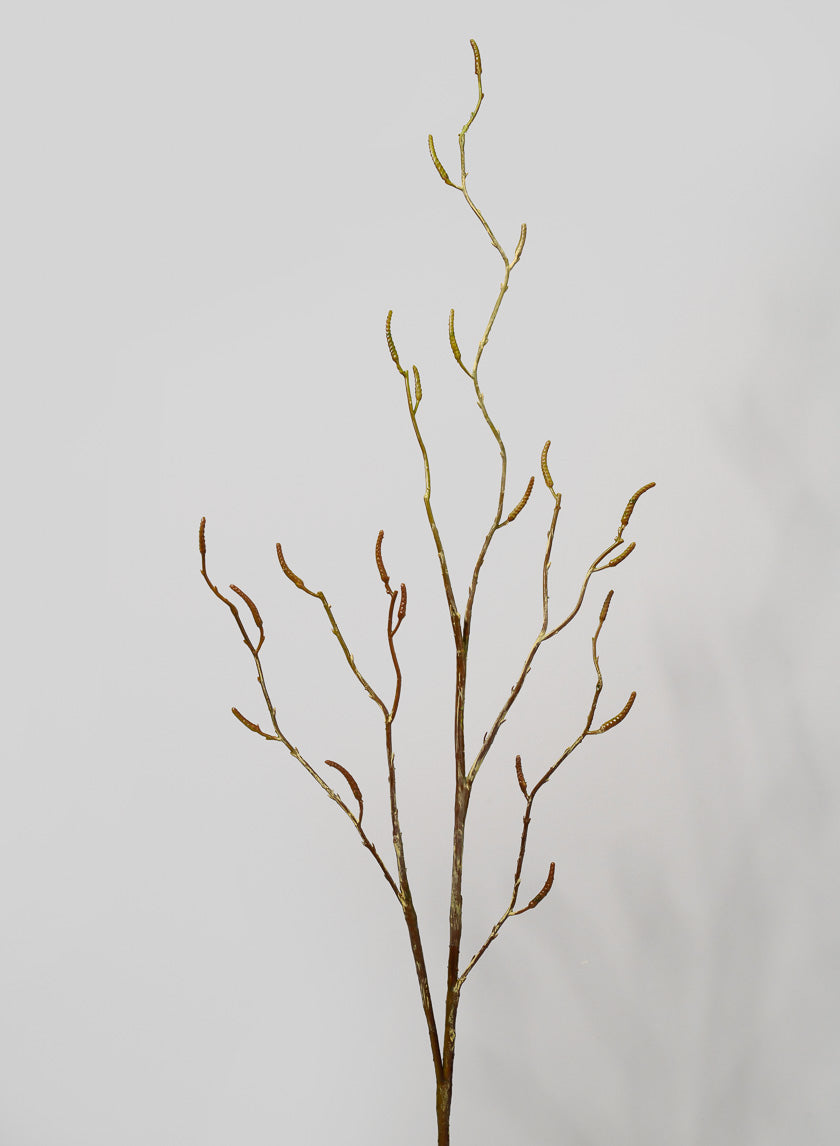 48in Long Birch Branch with Catkins Decor Jamaligarden