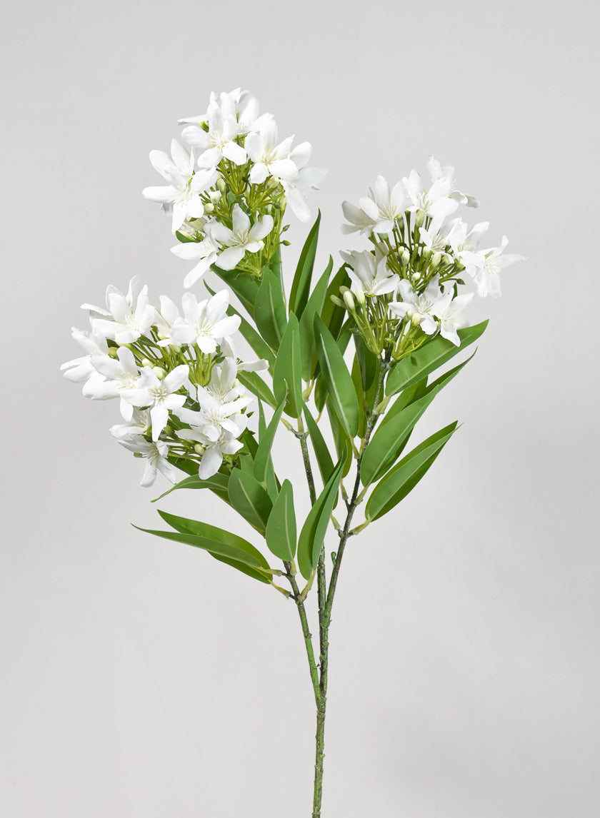 36in Long Blooming Stephanotis Branch Decor Jamaligarden
