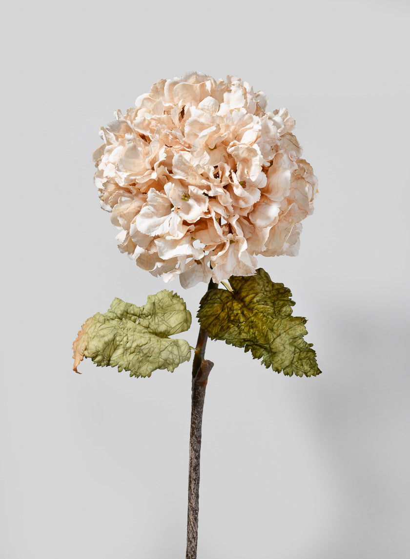 29in Long Blush Antique Hydrangea Stem Decor Jamaligarden