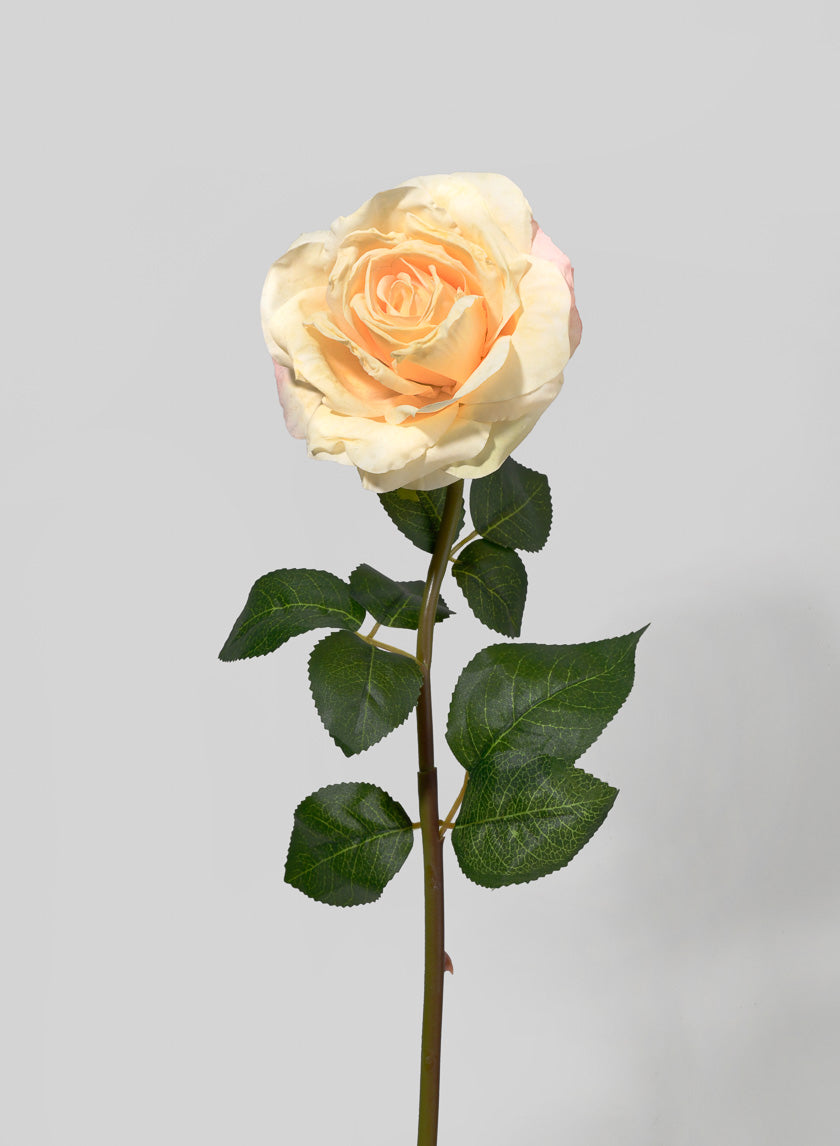 21in Long Eggnog Rose Decor Jamaligarden