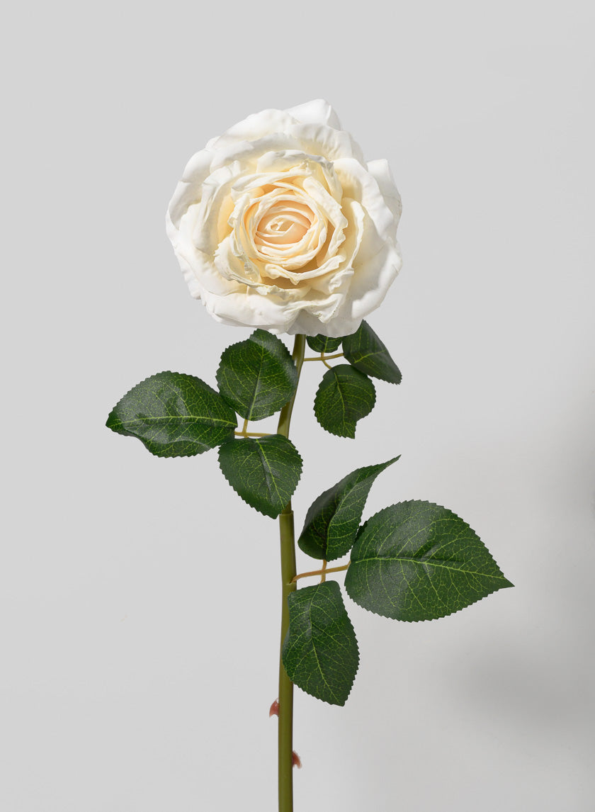 21in Long Cream Rose Decor Jamaligarden