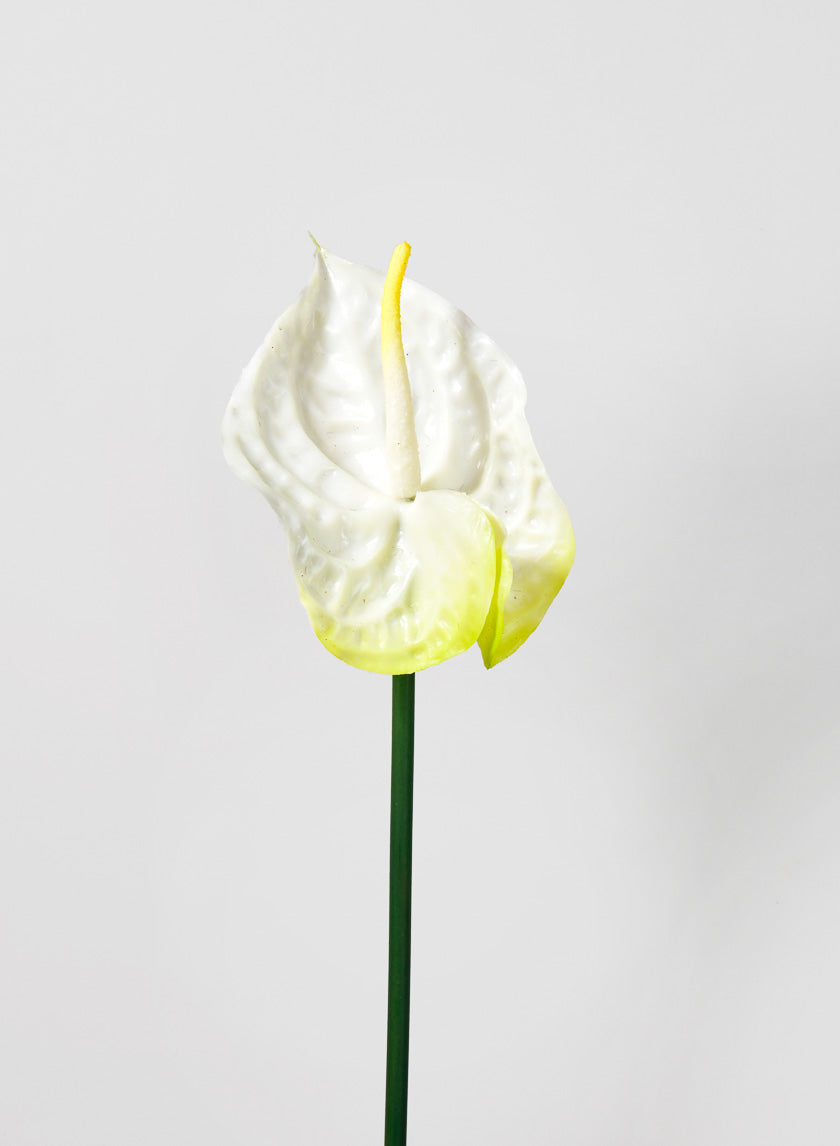 27in Long Anthurium Spray, White Decor Jamaligarden