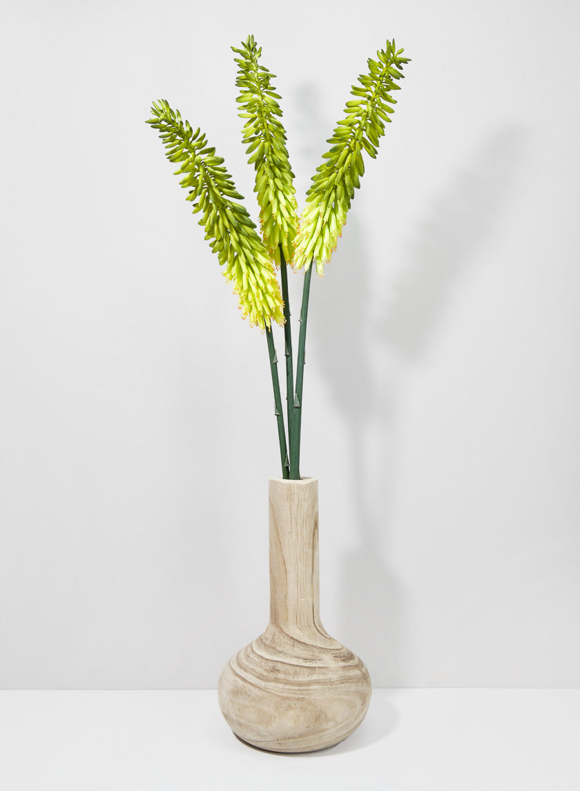 34in Long Cape Aloe Flower, Green Decor Jamaligarden