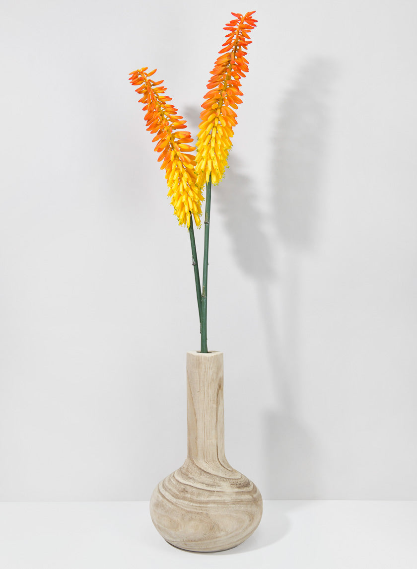 34in Long Cape Aloe Flower, Orange Decor Jamaligarden