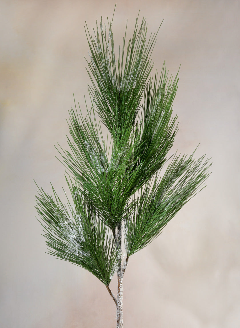 37in Long Dark Green Eastern White Pine Pick Decor Jamaligarden