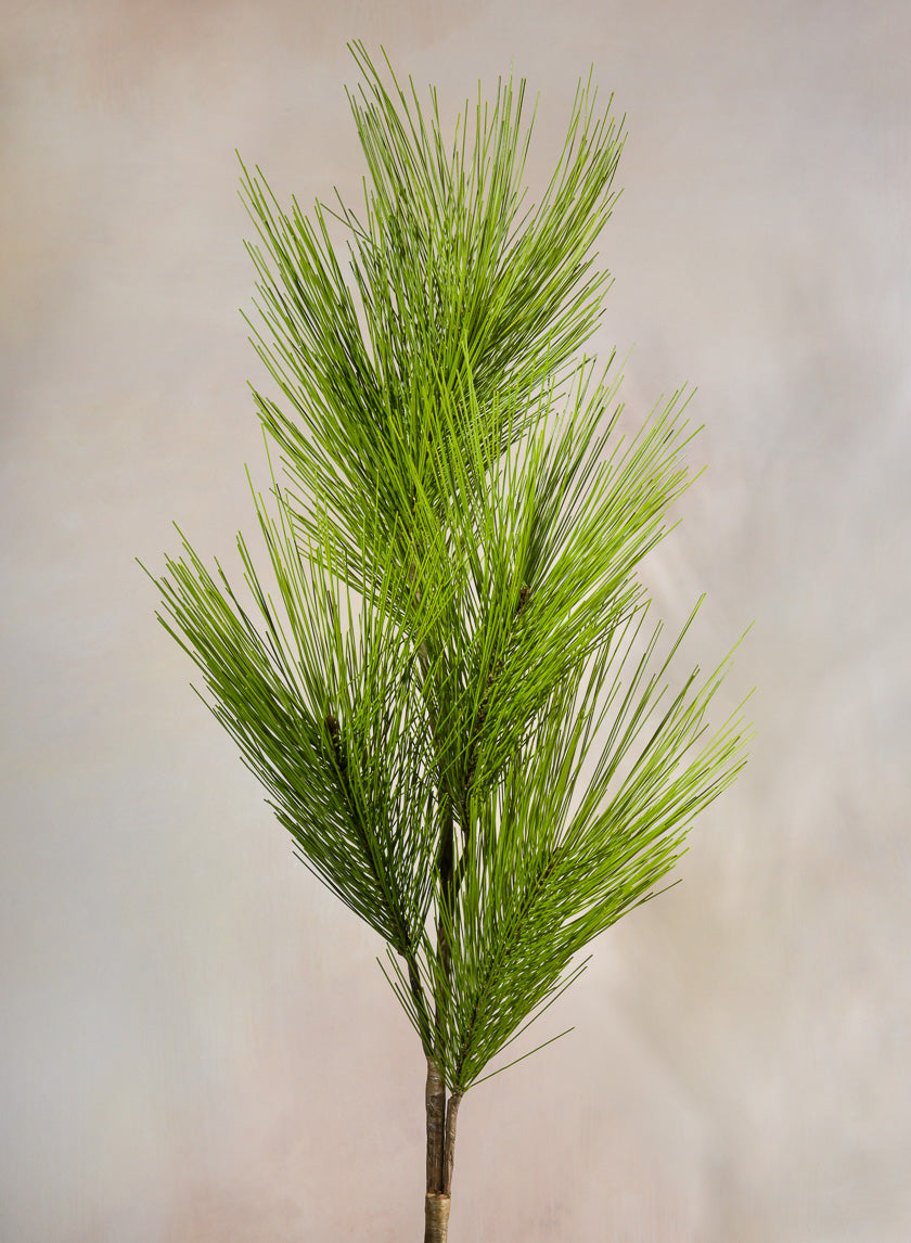 37in Long Light Green Eastern White Pine Pick Decor Jamaligarden